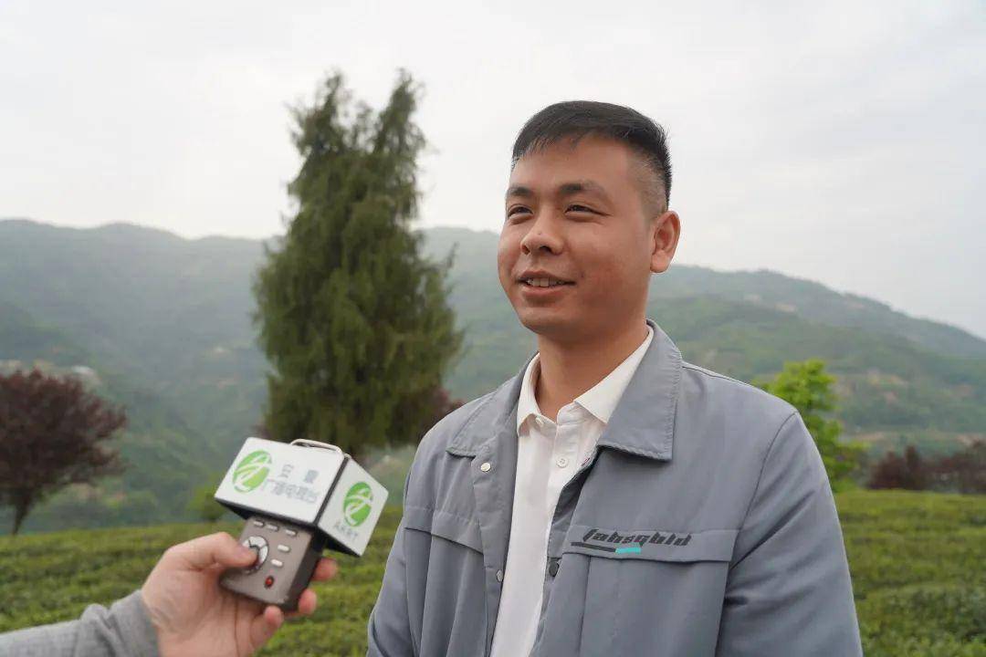 安康富硒茶公司(安康富硒茶主要产自哪里)-硒宝网