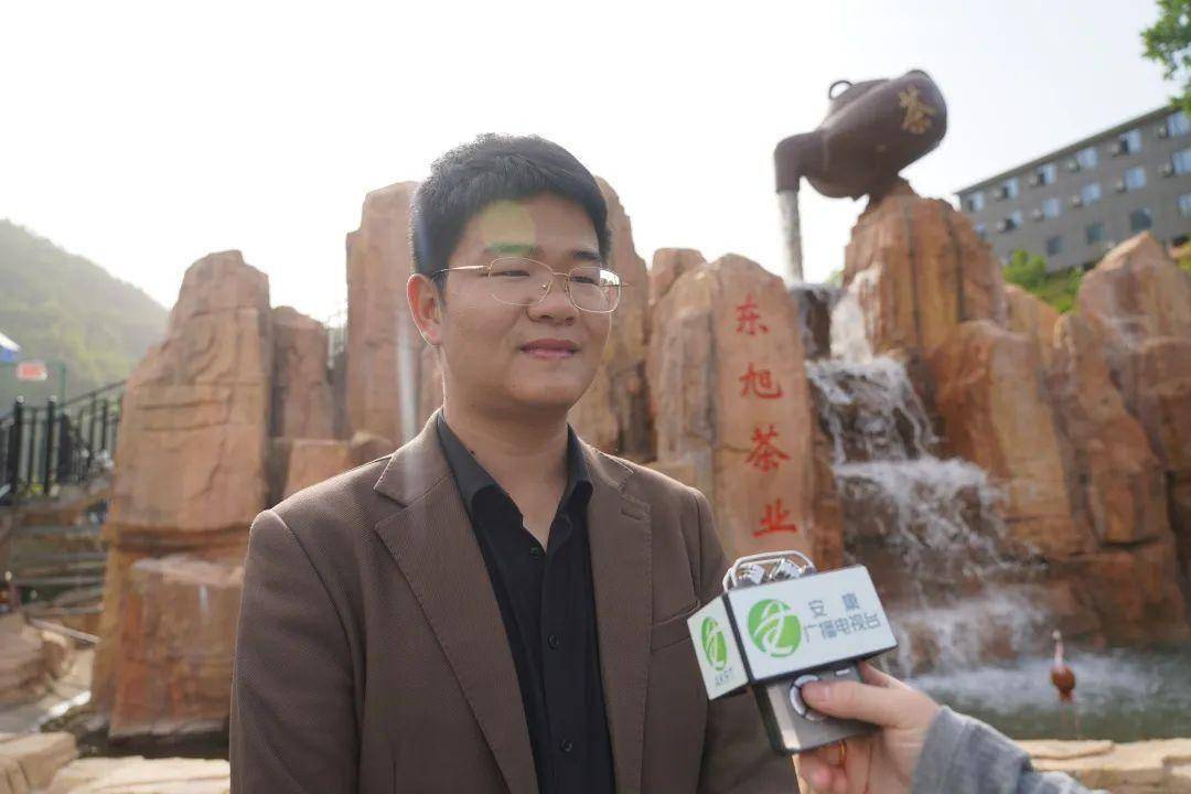 安康富硒茶公司(安康富硒茶主要产自哪里)-硒宝网