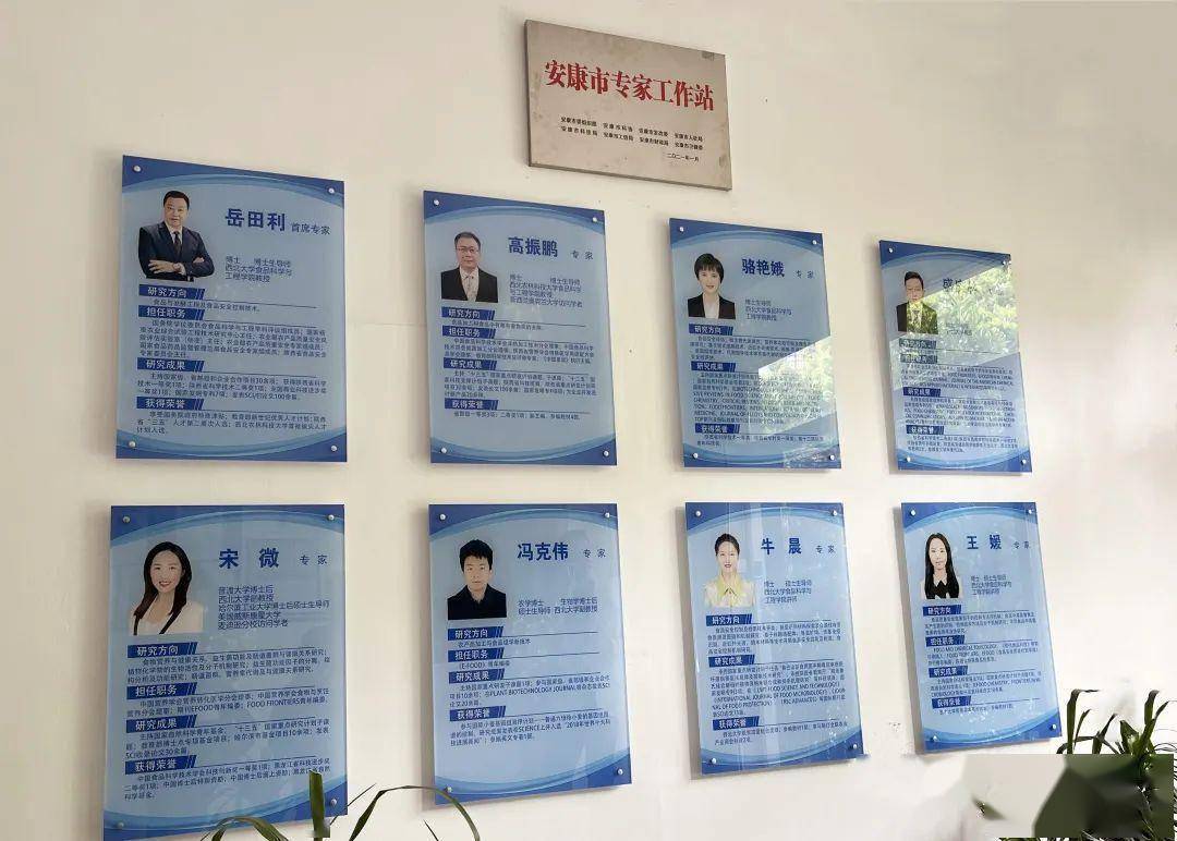 安康富硒茶公司(安康富硒茶主要产自哪里)-硒宝网