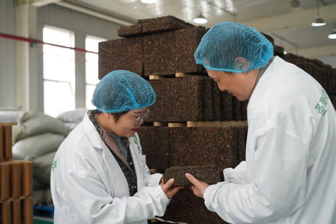 安康富硒茶公司(安康富硒茶主要产自哪里)-硒宝网