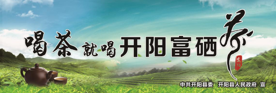 遵义开阳富硒茶(开阳富硒茶多少钱一斤)-硒宝网