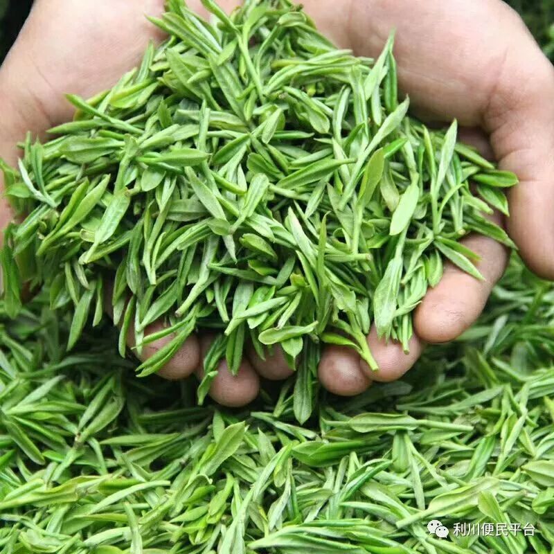 恩施富硒茶属于（恩施富硒茶文化的内涵有）-硒宝网