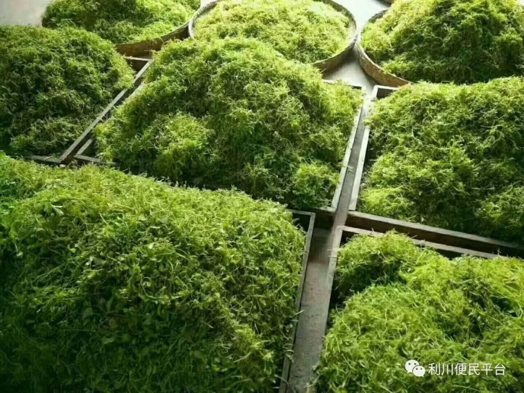 恩施富硒茶属于（恩施富硒茶文化的内涵有）-硒宝网