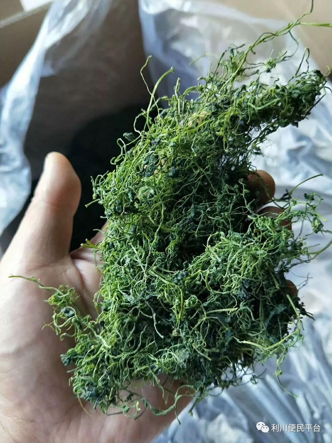 恩施富硒茶属于（恩施富硒茶文化的内涵有）-硒宝网