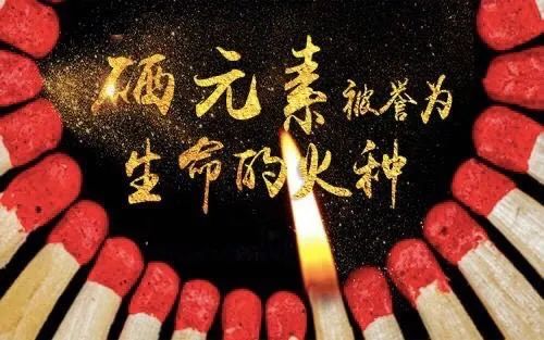 恩施富硒茶属于（恩施茶叶含硒量排名）-硒宝网