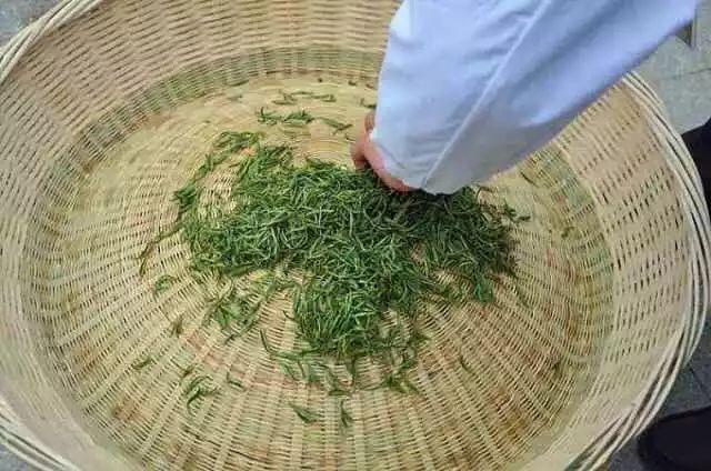 恩施富硒茶属于（恩施茶叶含硒量排名）-硒宝网