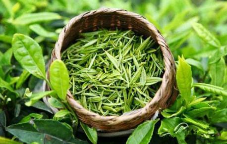 富硒茶产地湖北（湖北富硒红茶）-硒宝网