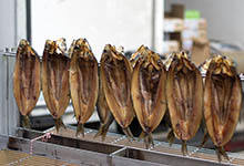 富硒茶颜色发白(茶颜色发白富硒能喝吗)-硒宝网