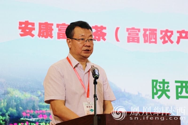 陕西富硒茶央视（陕西富硒茶多少钱一斤）-硒宝网