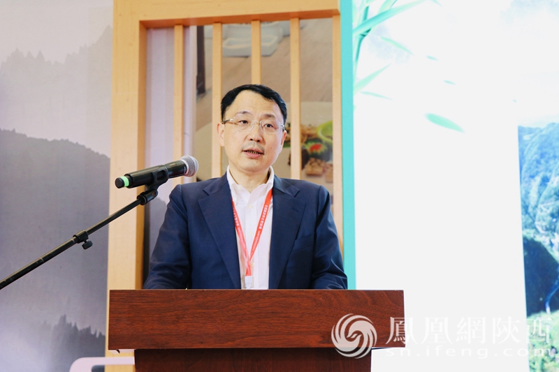 陕西富硒茶央视（陕西富硒茶多少钱一斤）-硒宝网