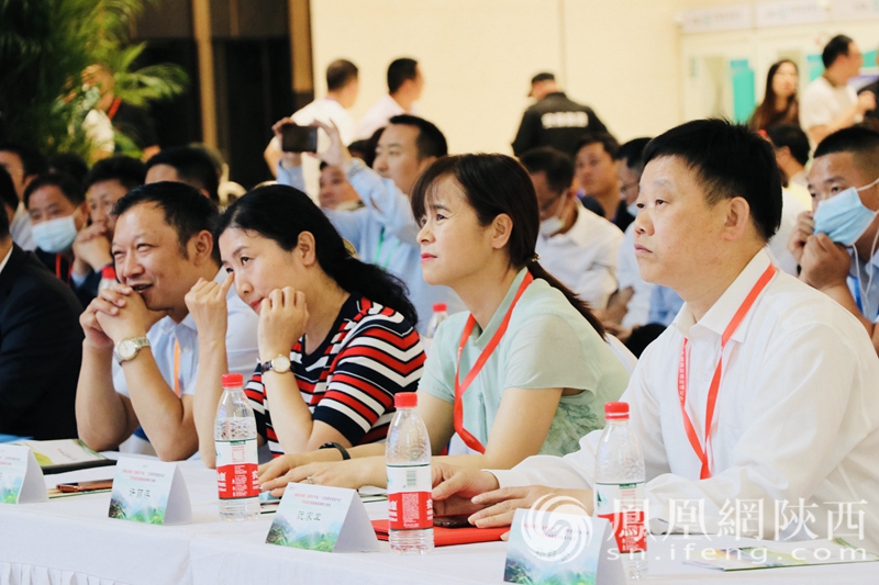 陕西富硒茶央视（陕西富硒茶多少钱一斤）-硒宝网