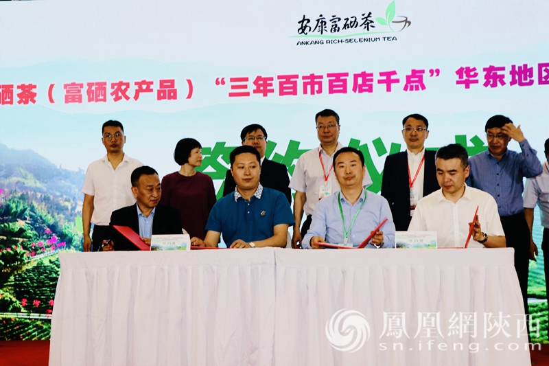 陕西富硒茶央视（陕西富硒茶多少钱一斤）-硒宝网