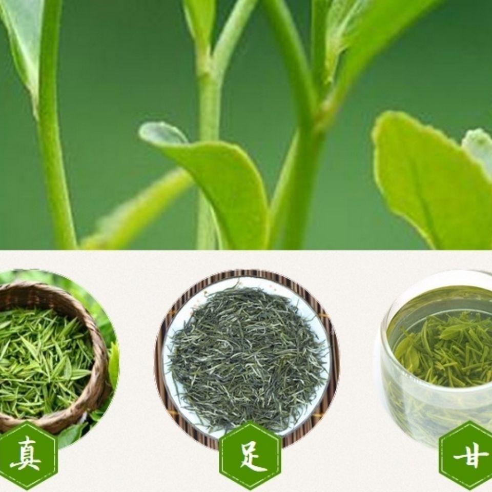 安康富硒茶南京（安康富硒茶属于什么茶）-硒宝网