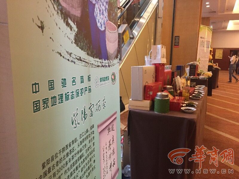 陕西富硒茶央视（陕西富硒茶的功效与作用）-硒宝网