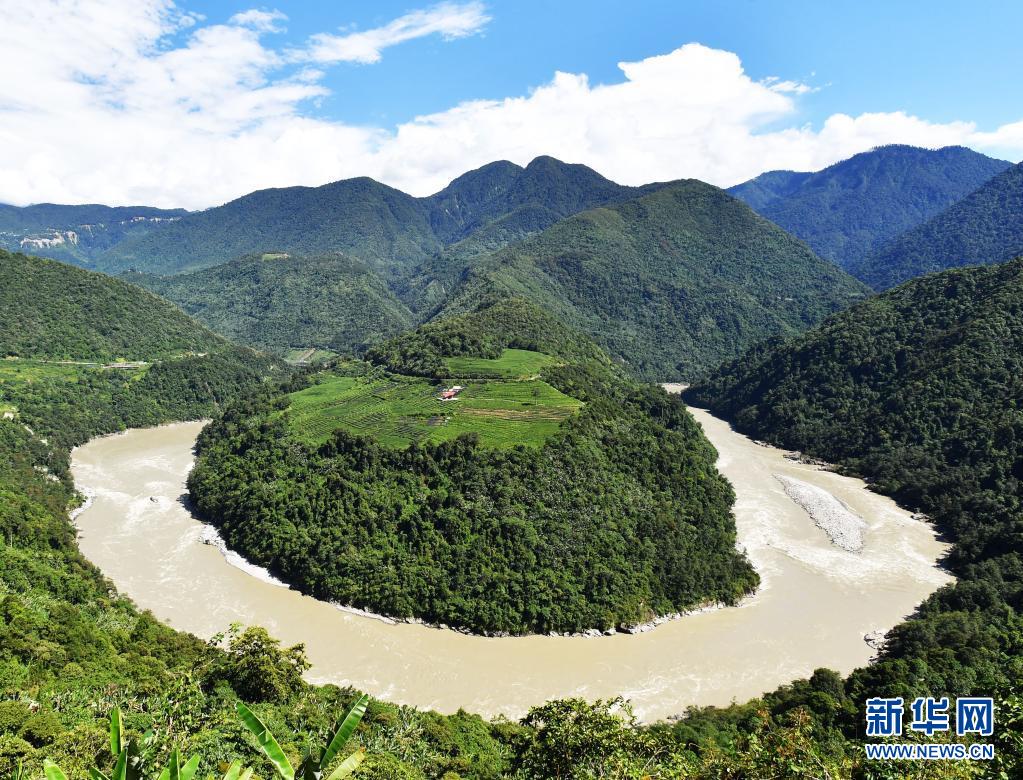 富硒贡茶 清雅(清雅茶叶价格)-硒宝网