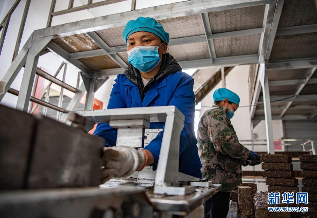 富硒贡茶 清雅(清雅茶叶价格)-硒宝网