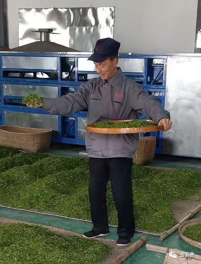 恩施富硒茶种植(恩施富硒茶叶多少钱一斤)-硒宝网