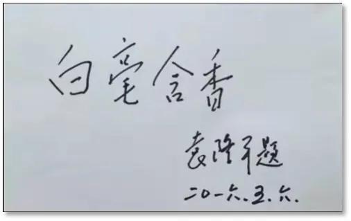 富硒黄金茶价格（黄金茶属于什么茶价格）-硒宝网