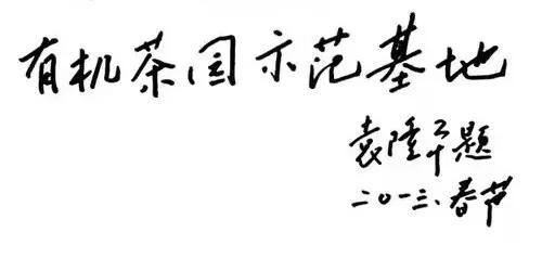 富硒黄金茶价格（黄金茶属于什么茶价格）-硒宝网