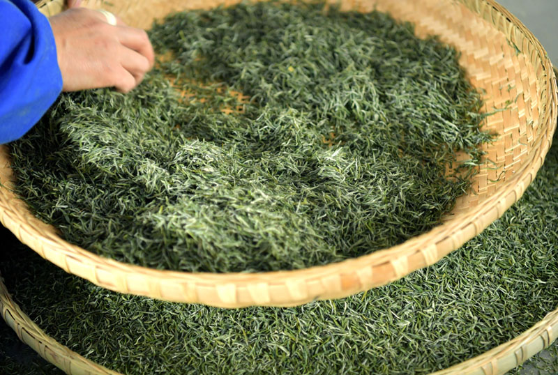 湖北富硒茶功能(武汉富硒茶)-硒宝网