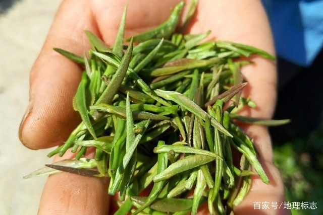 陕西富硒茶品牌(陕西富硒茶多少钱一斤)-硒宝网