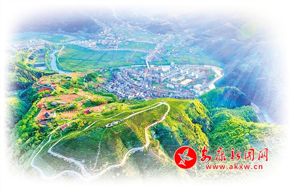 原生茶园富硒茶（原生茶园茶富硒含量多少）-硒宝网