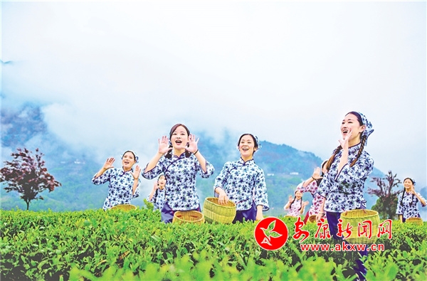 原生茶园富硒茶（原生茶园茶富硒含量多少）-硒宝网