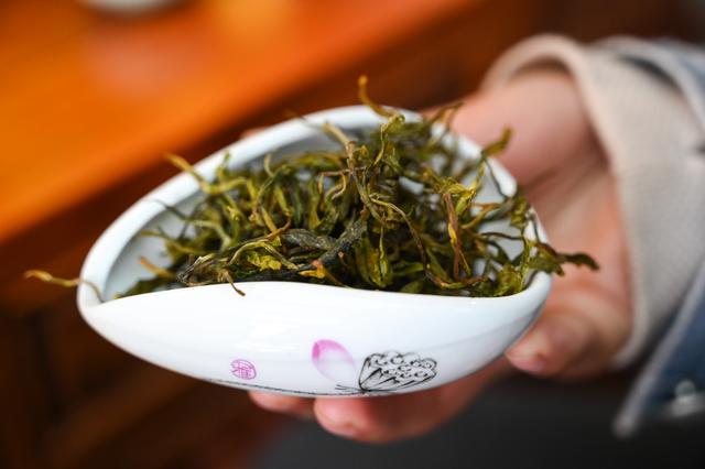 采摘恩施富硒茶（湖北恩施富硒茶多少钱一斤）-硒宝网