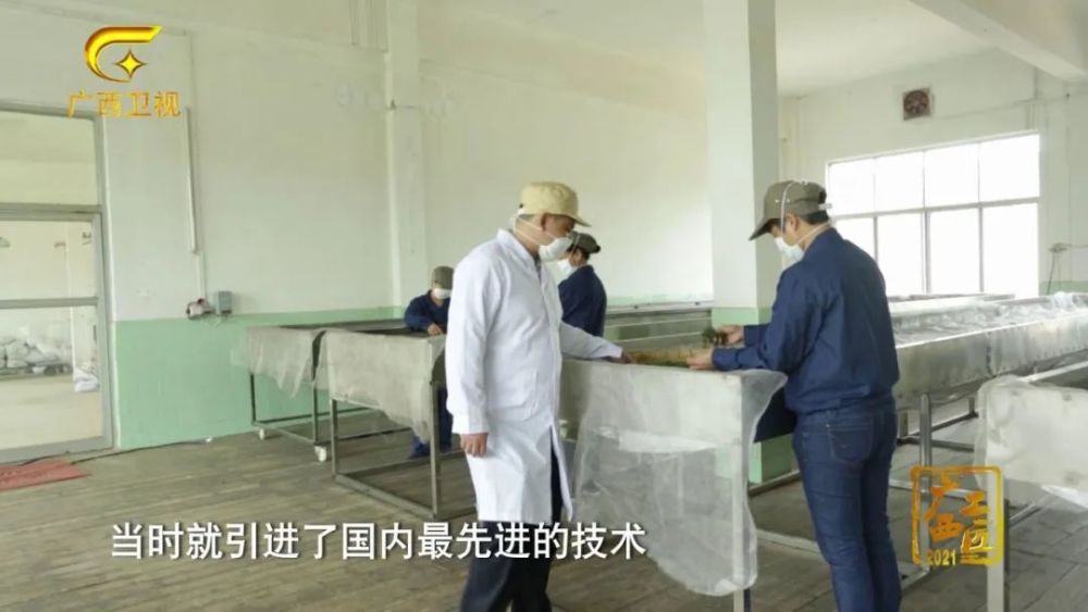 福建富硒桑叶茶(桑叶茶价钱)-硒宝网