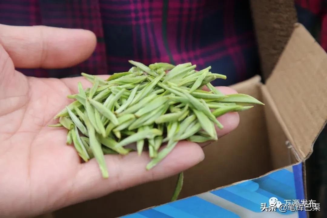 富硒茶形状扁平(扁平长片茶叶是什么茶)-硒宝网