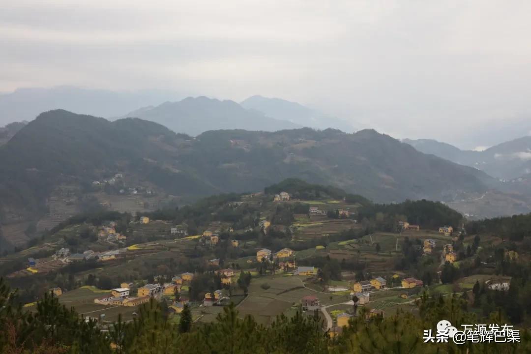 富硒茶形状扁平(扁平长片茶叶是什么茶)-硒宝网