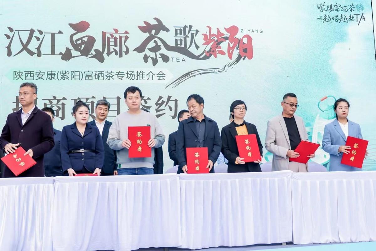 关于安康富硒茶(安康富硒茶的功效与作用)-硒宝网