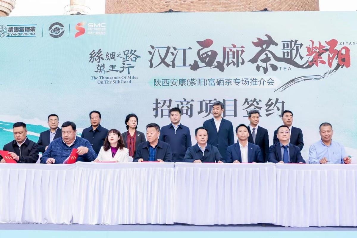 关于安康富硒茶(安康富硒茶的功效与作用)-硒宝网