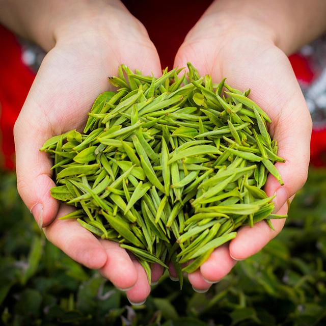 湖北富硒茶好喝（湖北富硒红茶）-硒宝网