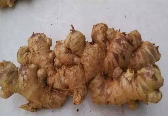 高山富硒野放茶（高山富硒茶属于什么茶）-硒宝网