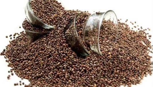 高山富硒野放茶（高山富硒茶属于什么茶）-硒宝网