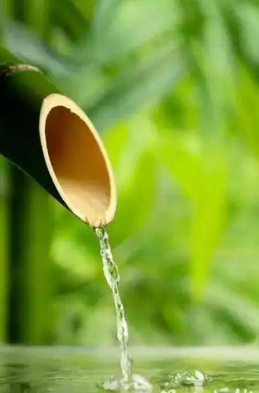 高山富硒野放茶（高山富硒茶属于什么茶）-硒宝网