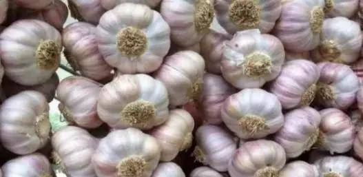 高山富硒野放茶（高山富硒茶属于什么茶）-硒宝网