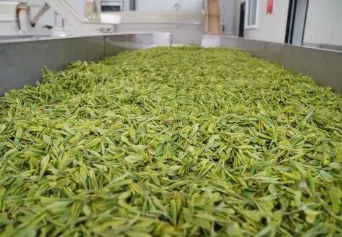 高山富硒野放茶（高山富硒茶属于什么茶）-硒宝网