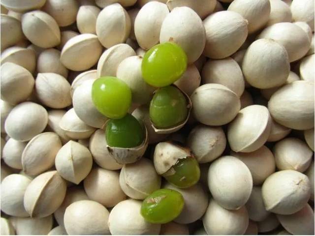 高山富硒野放茶（高山富硒茶属于什么茶）-硒宝网