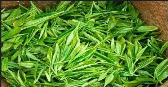 高山富硒野放茶（高山富硒茶属于什么茶）-硒宝网