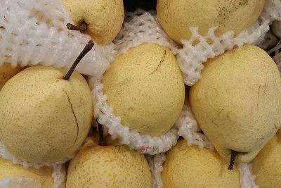 高山富硒野放茶（高山富硒茶属于什么茶）-硒宝网