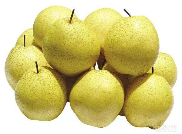 高山富硒野放茶（高山富硒茶属于什么茶）-硒宝网