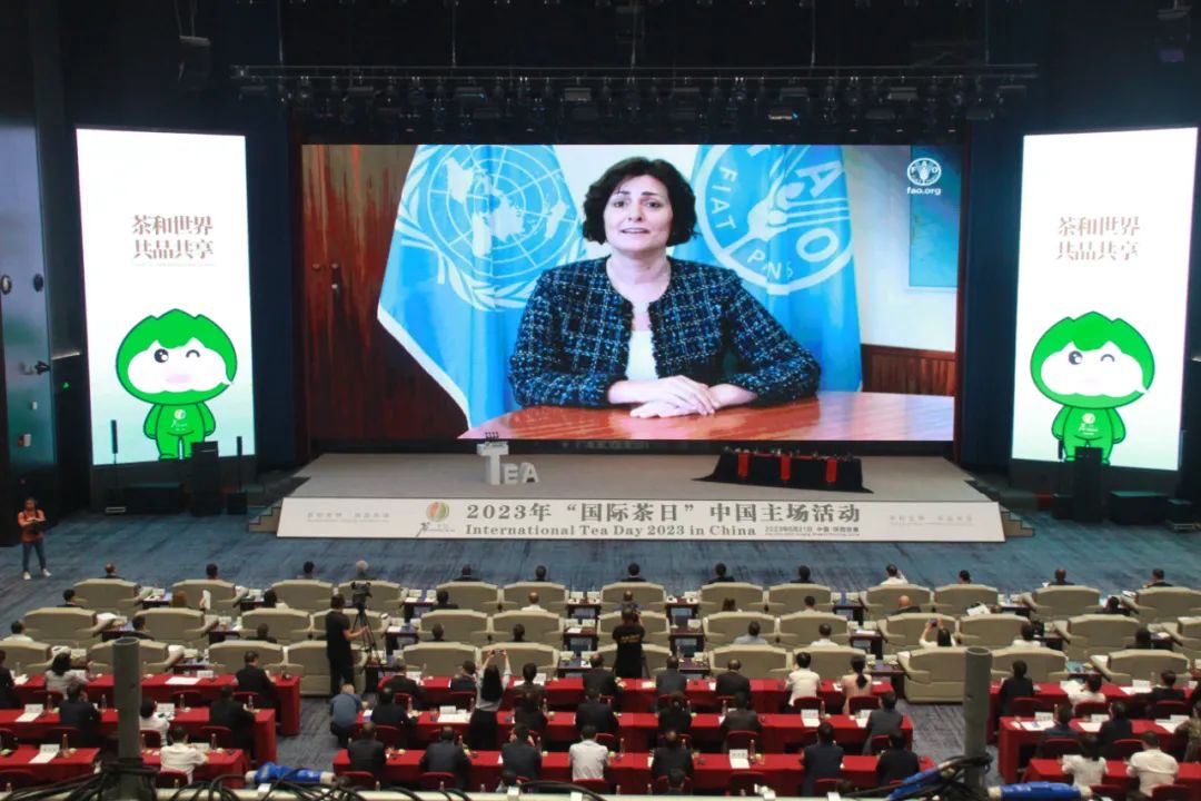 安康富硒银针茶(安康富硒茶多少钱一斤汗水晨雾)-硒宝网