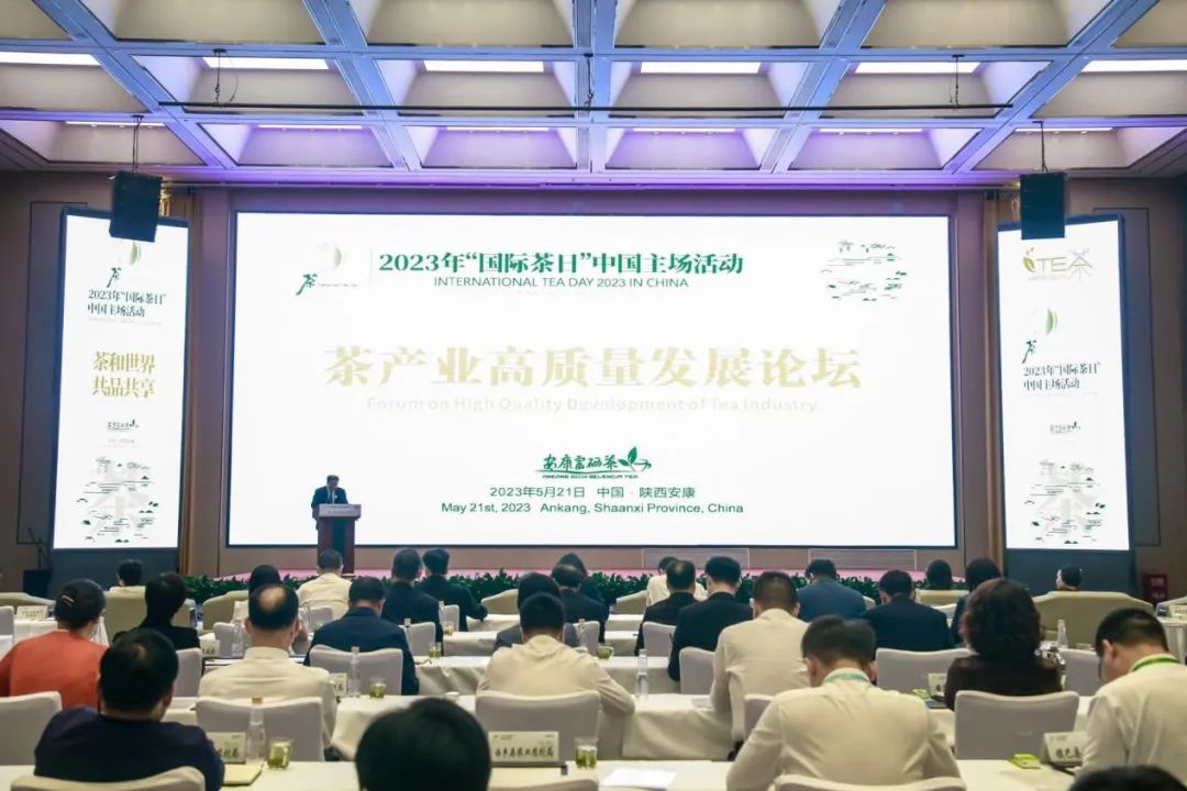 安康富硒银针茶(安康富硒茶多少钱一斤汗水晨雾)-硒宝网