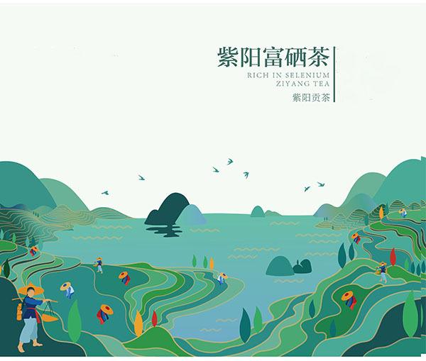 紫阳富硒茶起源（紫阳茶富硒茶）-硒宝网