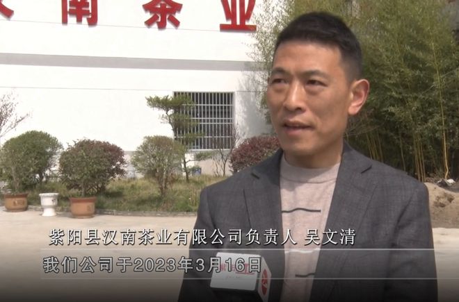 安康富硒银针茶(安康富硒茶的功效与作用)-硒宝网