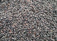 陕西富硒茶功效(陕西富硒茶叶)-硒宝网