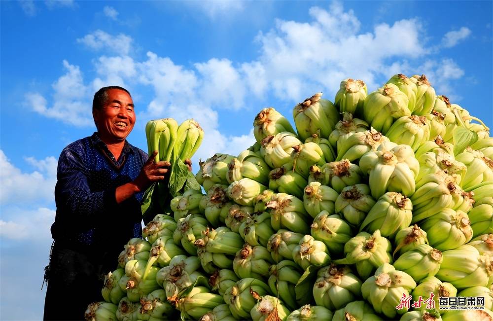 开阳富硒茶加工(开阳富硒茶叶)-硒宝网