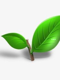 资阳富硒茶价格(四川富硒茶)-硒宝网